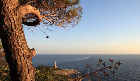Panorama_della_baia_del_faro